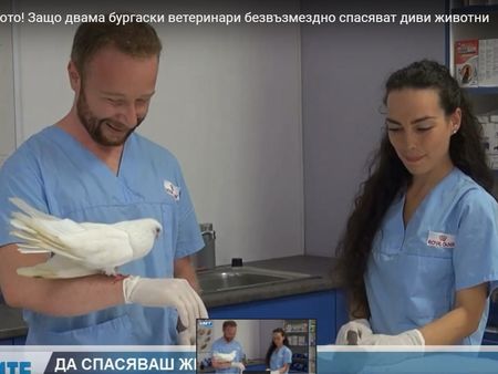 Разказ за доброто! Защо двама бургаски ветеринари безвъзмездно спасяват диви животни в беда (ВИДЕО)