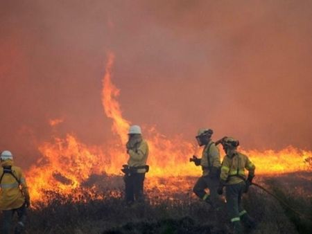 100 хиляди евакуирани в Калифорния заради пожарите