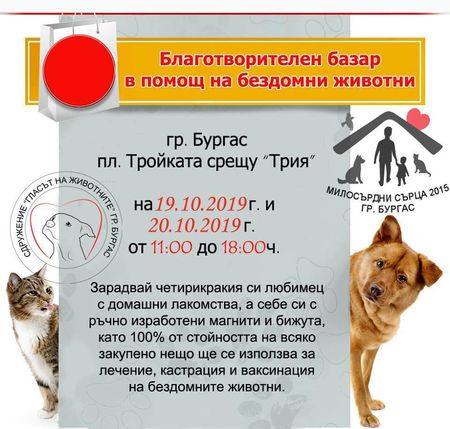 Благотворителен базар за пострадали животни ще се проведе в Бургас