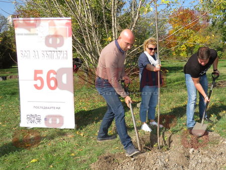 БСП с амбиция за по-чист Бургас, социалистите засадиха 51 дръвчета в Морската градина