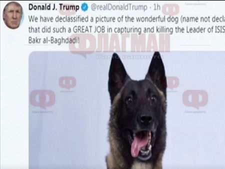 Тръмп показа кучето, участвало в атаката срещу ал Багдади
