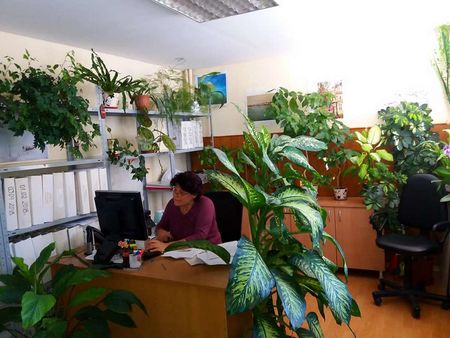 За пример! Бургаска общинска служителка превърна мрачната си канцелария в цветен Рай (СНИМКИ)