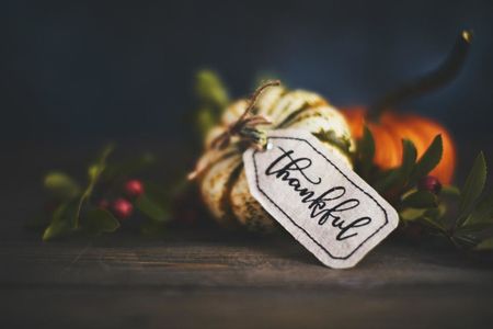 За какво трябва да бъде благодарна всяка зодия през ноември