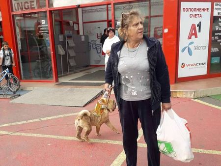 Зверство в Слънчев бряг! Жена насъска кучето си срещу малко коте пред очите на десетки (ВИДЕО 18+)