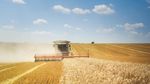 Махат забраната за продажба на земя на чужденци