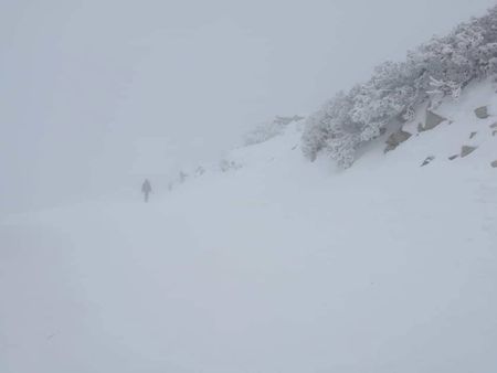 Стихията иде! Снежна буря от Румъния удря България до часове