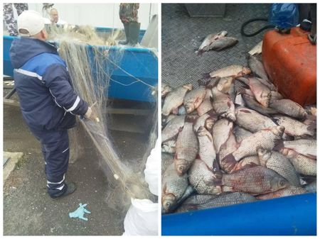 Инспектори на ИАРА откриха близо 400 кг риба в мрежите на бракониери в язовир Мандра