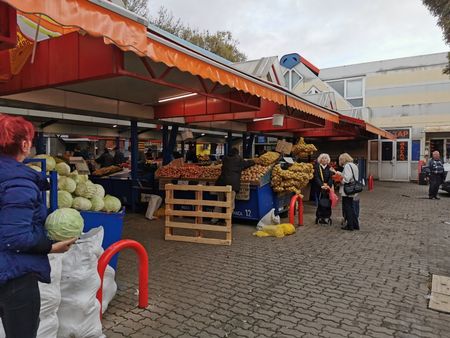 Цакат ни с бракувани плодове и зеленчуци