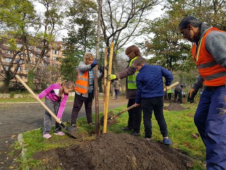 Акция по залесяване обедини бургазлии! Десетки дръвчета преобразиха парка до военна болница