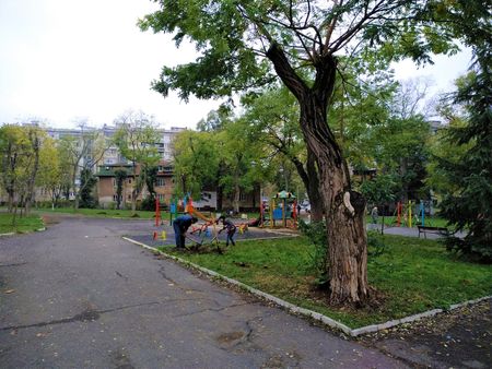 В Бургас продължава засаждането на дръвчета в комплексите, вижте новите райони