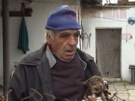 Доброволци от Ямбол спасиха пребито куче
