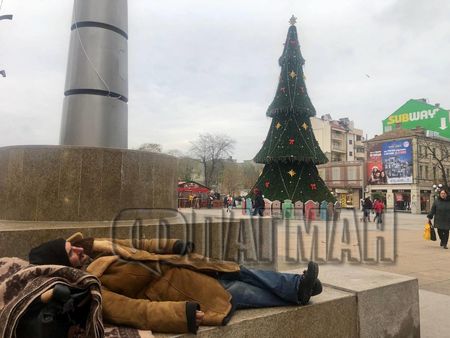 Градският "партизан" на Бургас се премести на пл. "Тройката" – нахранен и спи до елхата