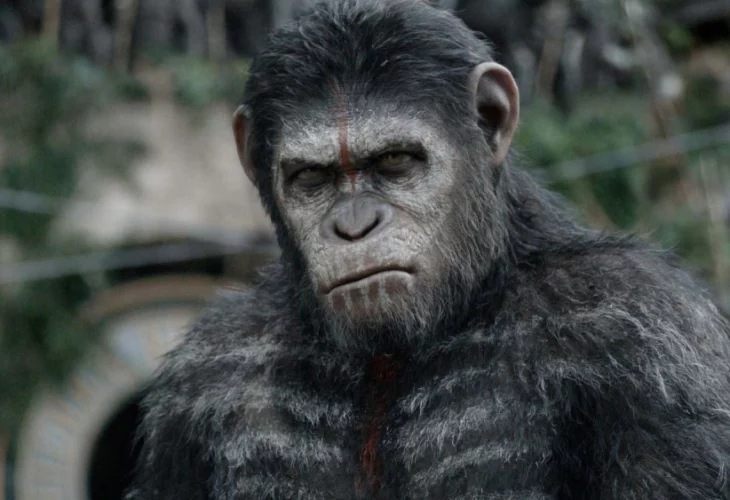 National Geographic: Маймуните станаха човекоядци, отвличат деца и ги разкъсват!