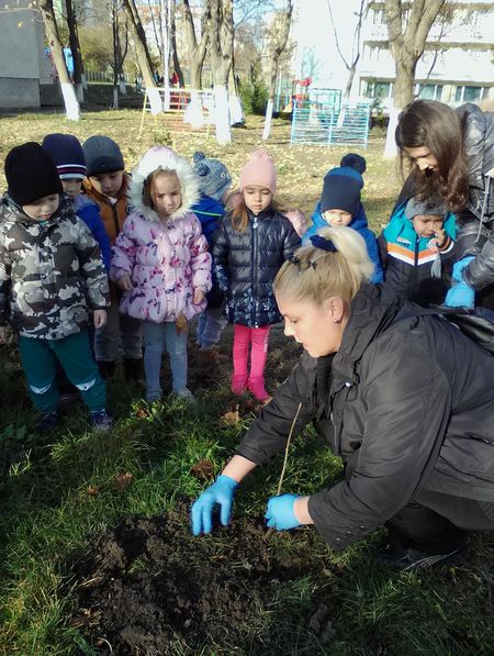 Засадиха 100 дръвчета в двора на ДГ "Изгрев"