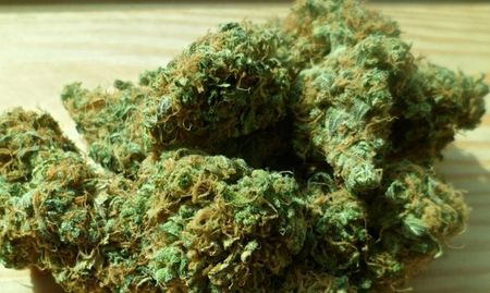 140 кг марихуана за 1 млн. лева откриха полицаи в Русенско