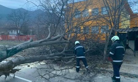 Силният вятър нанесе щети във Враца, отнесе тухли, ламарина