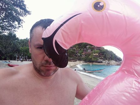 Защо Ицо Хазарта гушна розово фламинго и заприлича на кифла