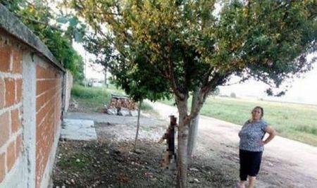 Ромката, обесила кучето си: Стана ми много мъчно
