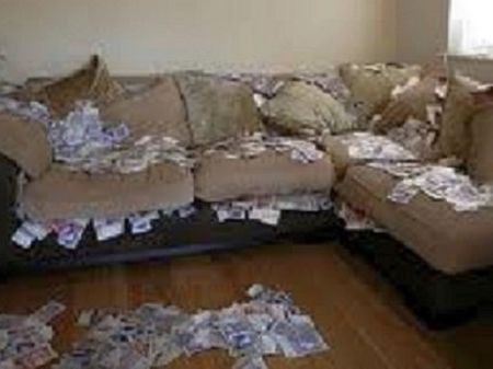 Балък намери $43 000 в диван, върна ги