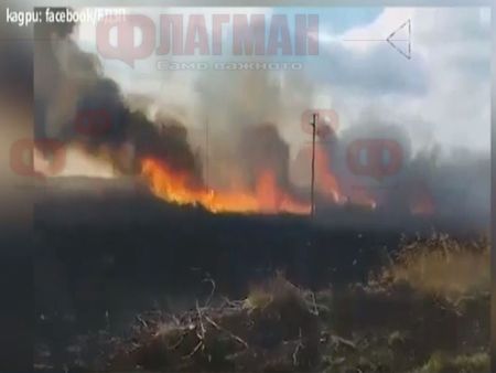 Загасен е пожарът в Орловото блато, изгоряха 50 декара сухи треви и храсти