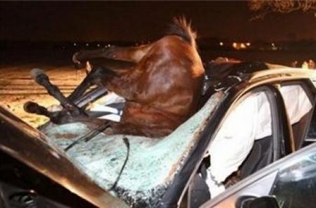 Ауди А7 помете камион с коне на пътя София-Варна