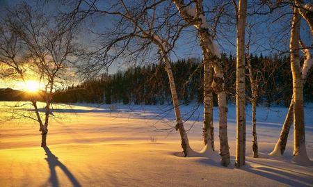 Слънчево и топло в неделя, градусите на места до 14°C