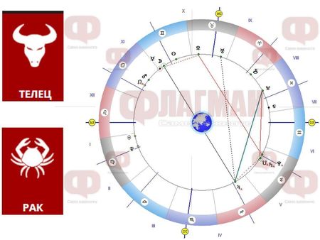 Преди да направи нещо, Телецът да обмисля всяка стъпка, а за Рака - приятни изненади