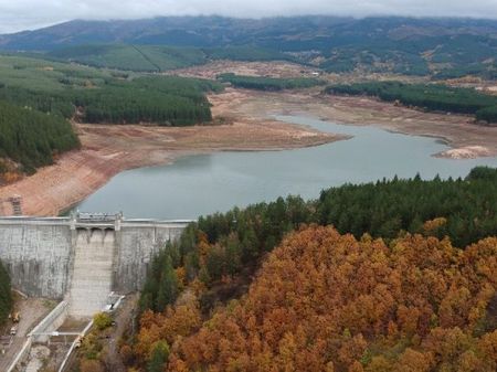 Превръща ли се България в Сахара и трябва ли да ни притеснява топлата зима