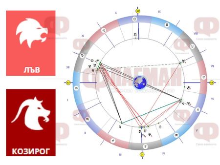 Лъвът да не си губи времето с празни приказки, а Козирогът да не взима прибързани решения