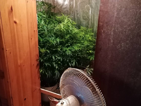 Акция в Китен! Полиция нахлу в апартамента на 44-годишен, намери плантация с марихуана