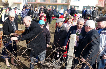 Десетият празник на младото вино се проведе в несебърското село Гюльовца