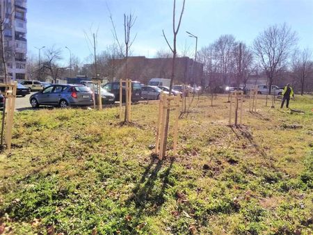 Община Бургас засади 52 млади дървета в "Славейков"