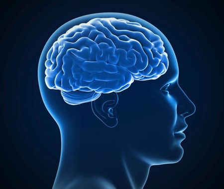 Учени: Мозъкът започва да работи с пълна сила след 60-годишна възраст