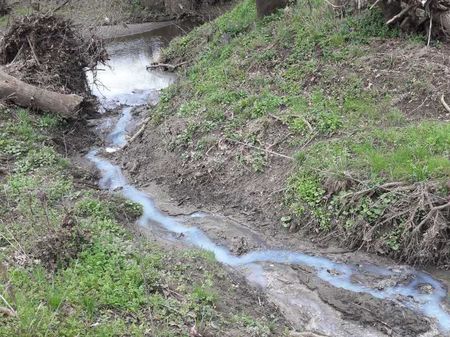 Читател: Бяла река тече в село Веселие заради мандрата! Собственичката: Това шега ли е, не е от нас!