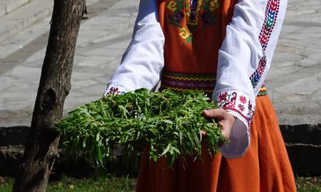 Необичайна Цветница! Празникът ще мине без върбови клонки