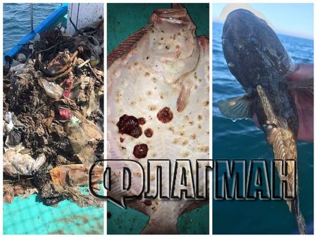 Шокиращ улов: Калкан с брадавици и попче с екзема в Черно море заради замърсяването