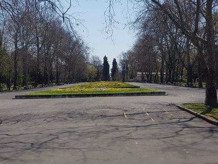 Педиатри настояват да се позволят разходките на деца в паркове и планини