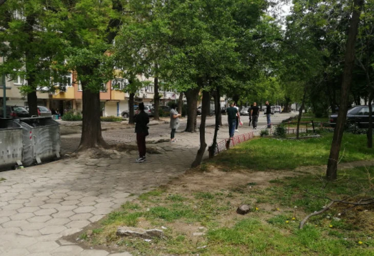Първи новини от БАН за силното земетресение, ударило Пловдив