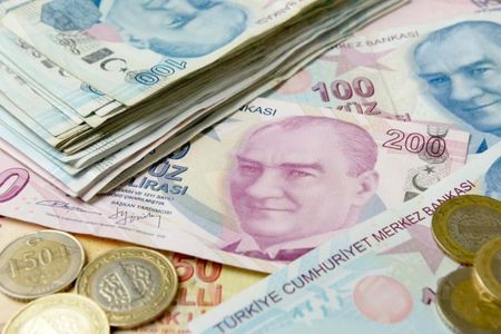 Турската лира се срина спрямо долара