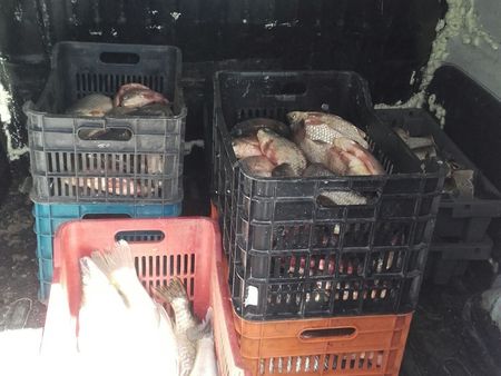 Задържаха 200 кг риба, скрита в микробус, двама бургазлии отнесоха солени актове