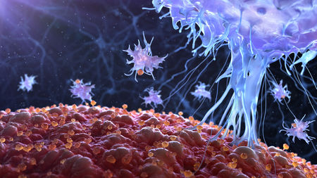 Учени твърдят, че са открили антитела, които блокират коронавируса