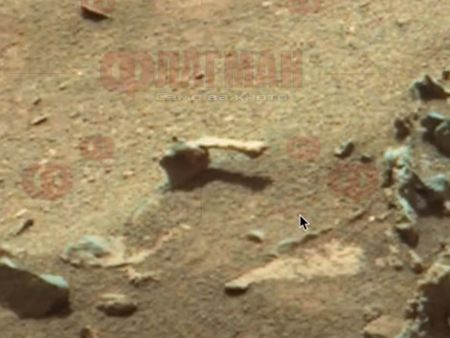Уфолог доказа, че на Марс има живот, намери извънземни охлюви