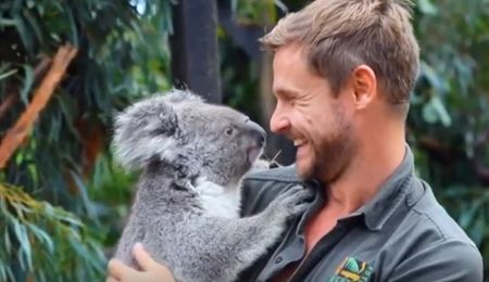 След огнения ад: Роди се първото бебе коала в Австралия