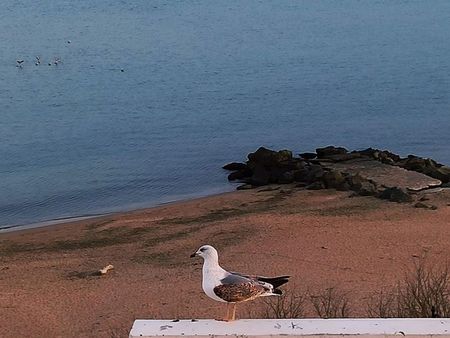 Дъжд в цялата страна днес, по-слънчево и топло - през уикенда