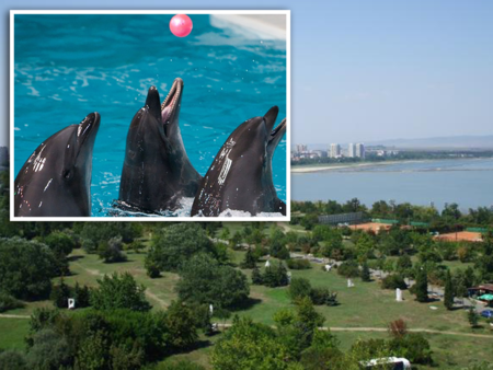 Нова атракция в Бургас: Изграждат уникален парк с делфинариум и ботаническа градина