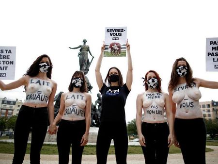 Активистки на PETA протестираха с разголени гърди срещу употребата на краве мляко