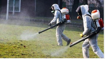 Почват здраво пръскане срещу насекоми в Бургас