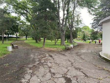 Обновяват големия парк в Каблешково, издигат паметник на патрона на града – Тодор Каблешков