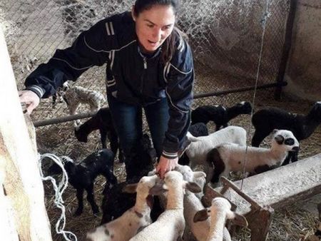 Върховният съд реши: Няма доказателства за чума по овцете в Болярово