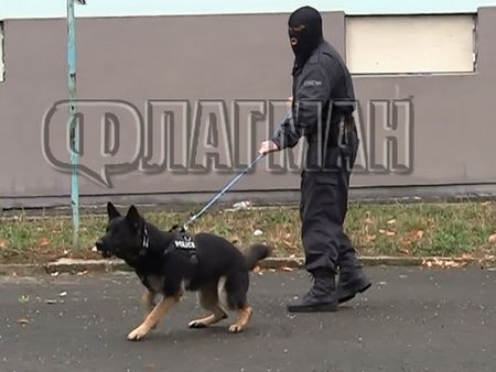 Нова акция срещу дрогата: Качулки с куче атакуваха дома на кримигерой, ето какво откриха